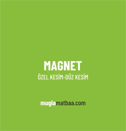 Özel Kesim Magnet